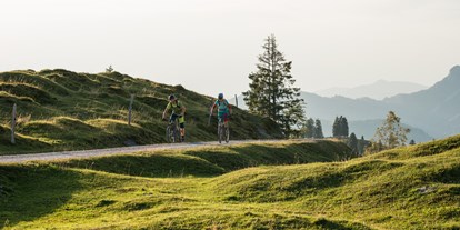 Mountainbikestrecken - Biketransport: öffentliche Verkehrsmittel - Mountainbiker unterwegs am frühen Morgen in den Kitzbüheler Alpen.  - Kitzbüheler Alpen