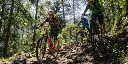 Mountainbikestrecken - Biketransport: sonstige Transportmöglichkeiten - Tiroler Oberland - Tiroler Zugspitz Arena