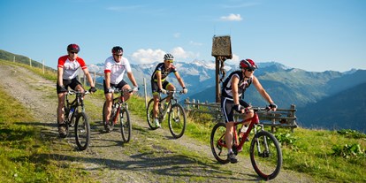 Mountainbikestrecken - Biketransport: Bergbahnen - Österreich - Großarltal
