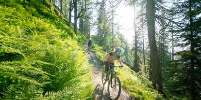 Mountainbikestrecken - Biketransport: Bergbahnen - Schladming - Schladming-Dachstein