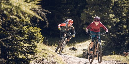 Mountainbikestrecken - Biketransport: Bergbahnen - Trentino-Südtirol - Dolomites Val Gardena - Gröden