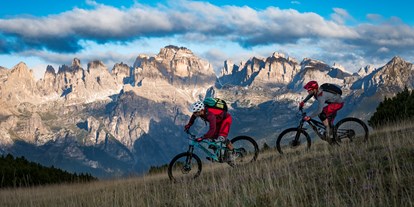 Mountainbikestrecken - Biketransport: öffentliche Verkehrsmittel - Trentino - Dolomiti Paganella Bike