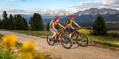 Mountainbikestrecken - Biketransport: Bergbahnen - Mountainbiken zwischen Rosengarten und Latemar. - Dolomiten - Eggental