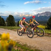 Mountainbike Region - Mountainbiken zwischen Rosengarten und Latemar. - Dolomiten - Eggental