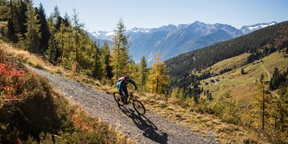 Mountainbikestrecken - Biketransport: Bergbahnen - Tolle Bike-Region - Wildkogel-Arena - Wildkogel-Arena Neukirchen & Bramberg