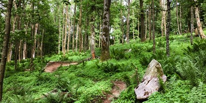 Mountainbikestrecken - Oberösterreich - Trailverlauf mit dem natürlichen Charakter des Hornissen-Trails - Pfenningberg