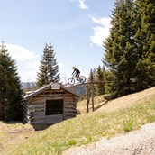 Mountainbike Region - Bike Region Serfaus-Fiss-Ladis