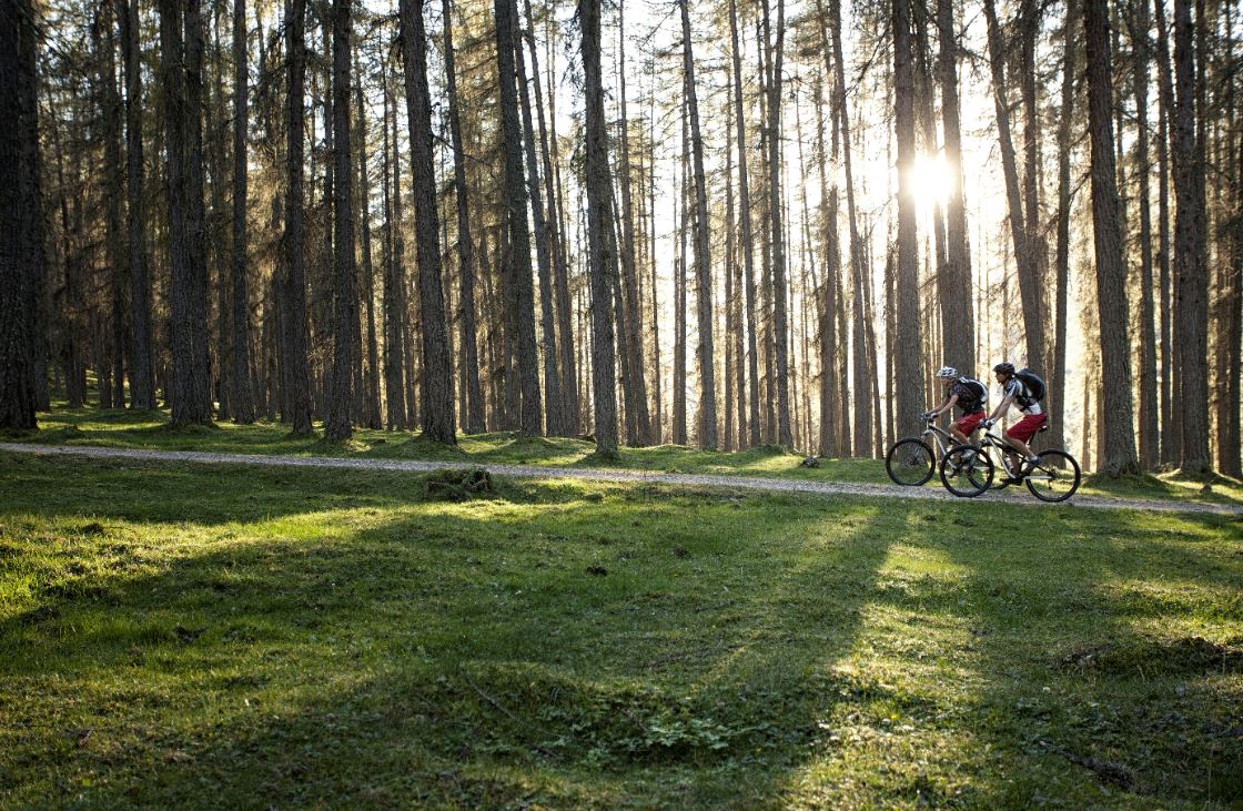 Mountainbike Region: Tiroler Zugspitz Arena