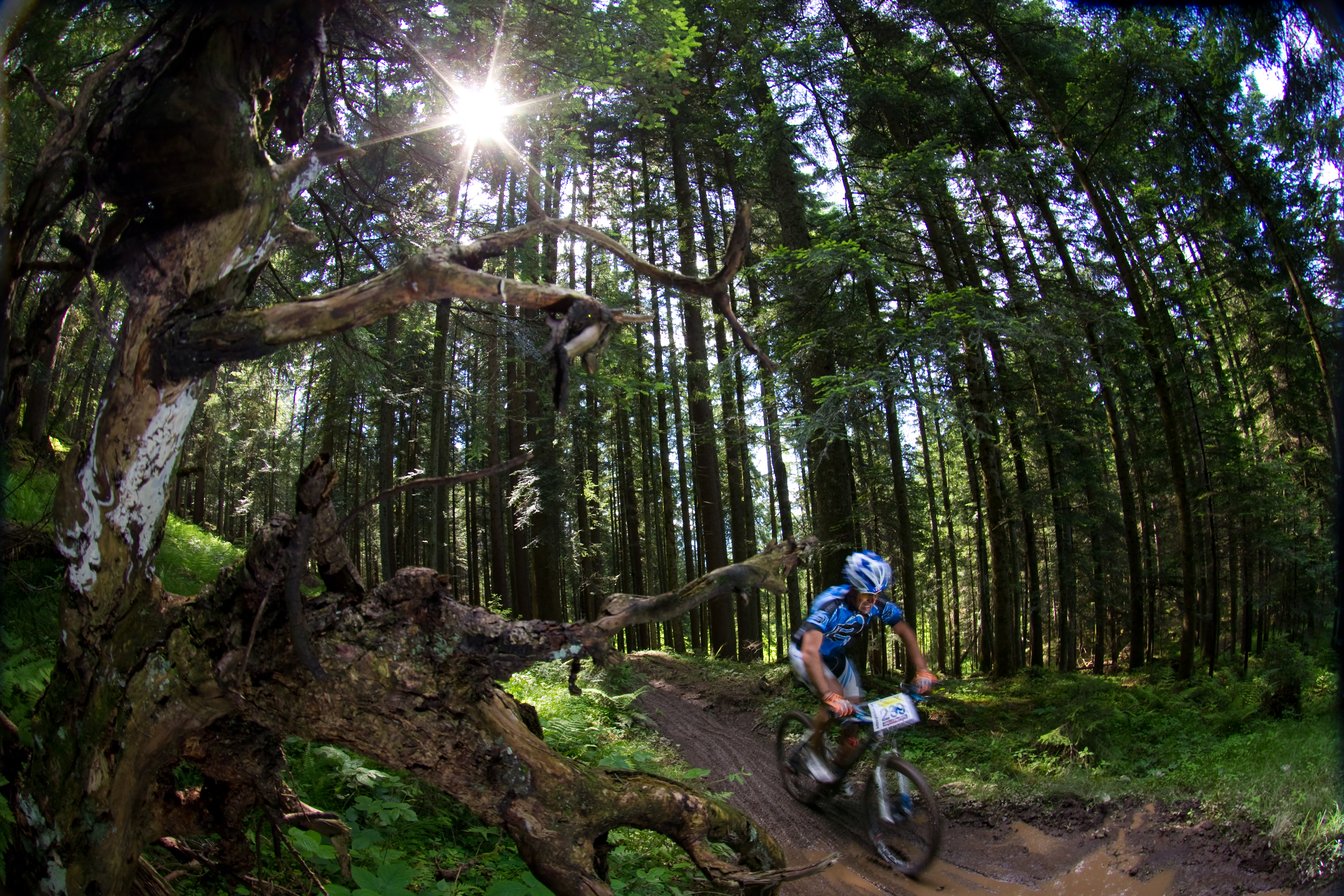 Kitzbüheler Alpen Events KitzAlpBike Festival im Brixental 