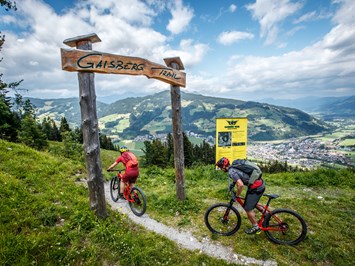 Kitzbüheler Alpen Trail Übersicht Gaisberg Trail