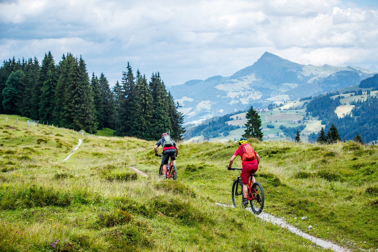 Kitzbüheler Alpen Trail Übersicht Wiegalm Trail