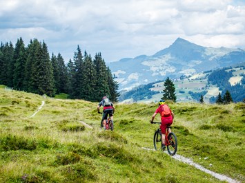 Kitzbüheler Alpen Trail Übersicht Wiegalm Trail