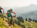 Mountainbike Region: Bikevergnügen am Wiegalm-Trail in den Kitzbüheler Alpen.  - Kitzbüheler Alpen