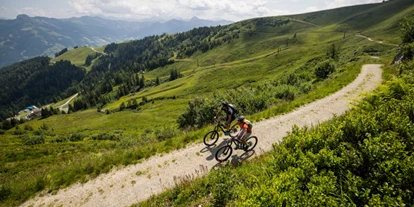 Mountainbikestrecken - Großarl - Bikeschaukel Großarltal-Dorfgastein; Copyright: SLT Heiko Mandl - Großarltal