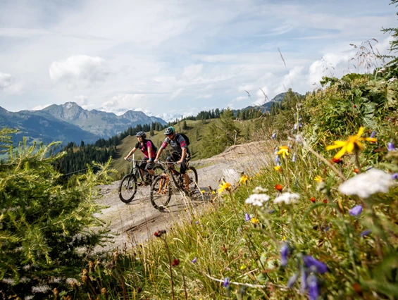 Mountainbike Region: Biken im Großarltal; Copyright: Erwin Haiden - Großarltal