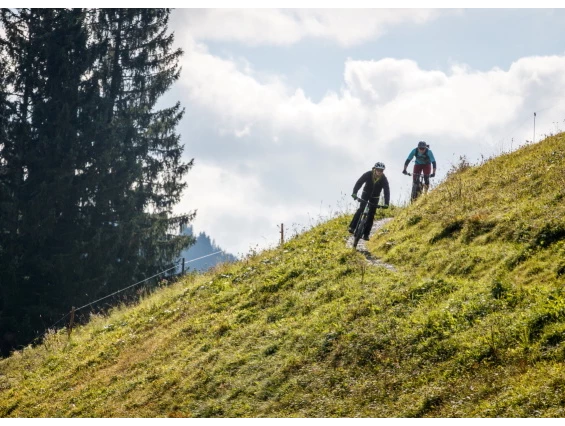 Mountainbike Region: Singletrail im Großarltal; Copyright: Erwin Haiden - Großarltal