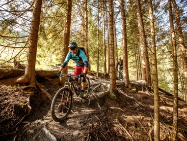 Mountainbike Region: Singletrail fahren im Großarltal; Copyright: Erwin Haiden - Großarltal