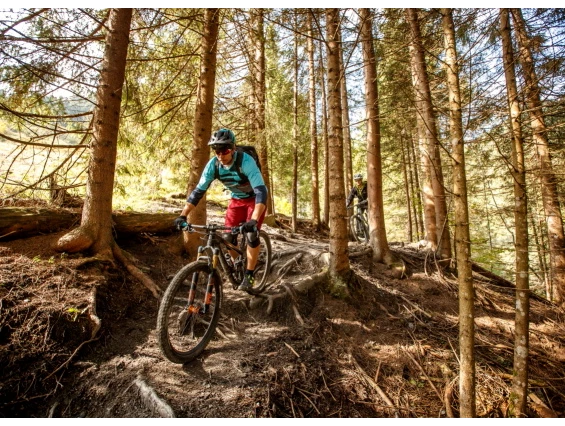 Mountainbike Region: Singletrail fahren im Großarltal; Copyright: Erwin Haiden - Großarltal