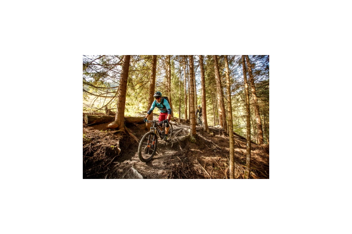 Mountainbike Region: Singletrail fahren im Großarltal; Copyright: Erwin Haiden - Großarltal
