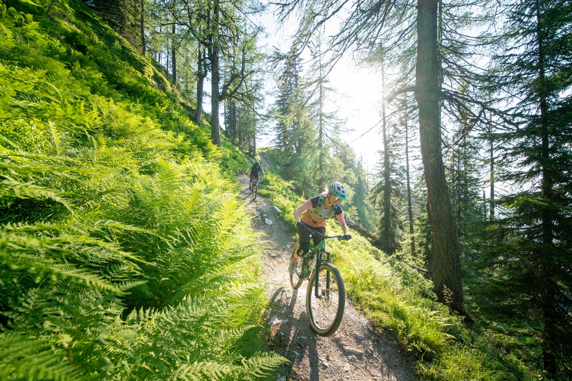 Mountainbike Region: Schladming-Dachstein