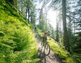 Mountainbike Region: Schladming-Dachstein
