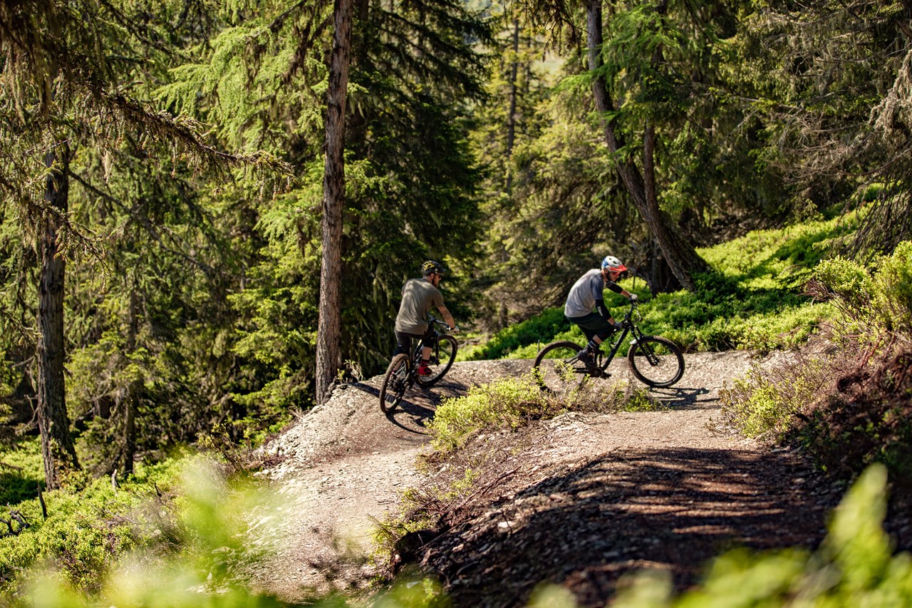 Schladming-Dachstein Trail Übersicht Uphill Flow Trail
