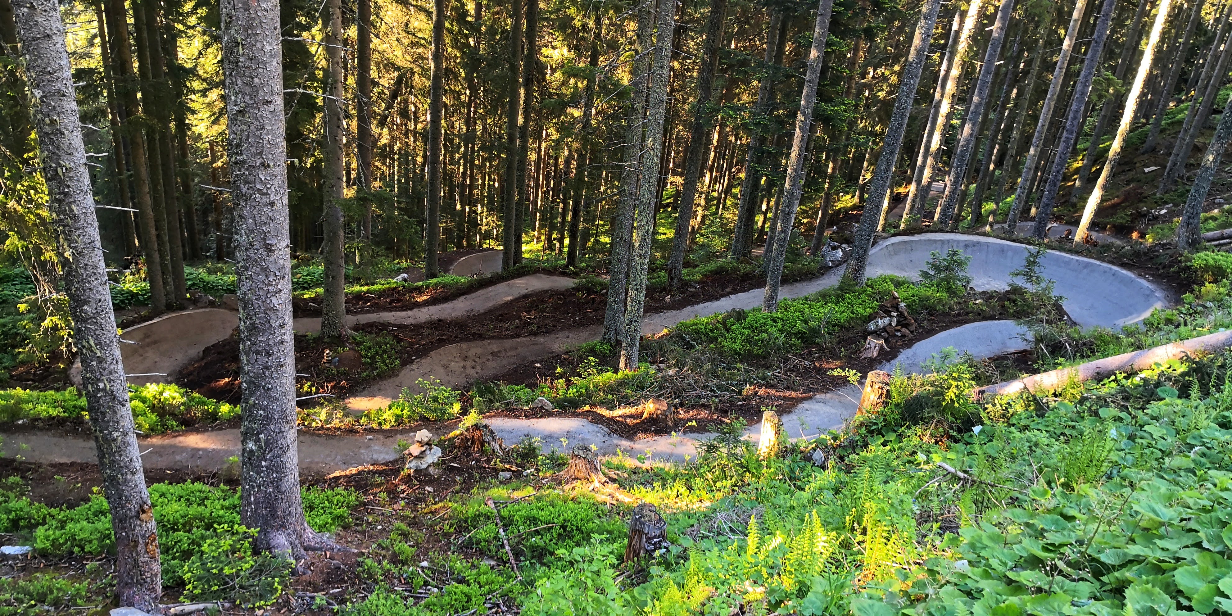 Schladming-Dachstein Trail Übersicht Schnepfenwald Trail