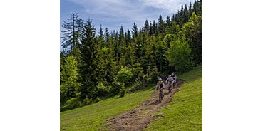Mountainbikestrecken - Biketransport: öffentliche Verkehrsmittel - Naturarena - Nassfeld-Pressegger See