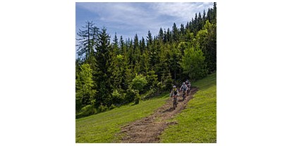 Mountainbikestrecken - Biketransport: Bergbahnen - Nassfeld-Pressegger See