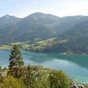 Mountainbikestrecken: Weg in Richtung Alm hinterm Brunn - Naturpark Weissensee