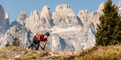 Mountainbikestrecken - Biketransport: Bergbahnen - Andalo - Dolomiti Paganella Bike