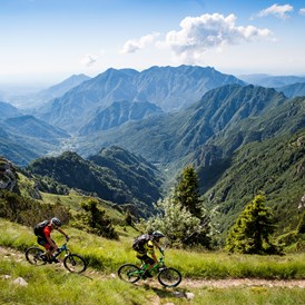 Mountainbike Region: Die Rad- und Mountainbike Touren der Alpe Cimbra liegen auf einer Höhe zwischen 1000 und 1850 Metern über dem Meeresspiegel. 
Für jeden Geschmack und jeden Biker ist wirklich etwas dabei: Mountainbiken, Downhill, E-Bike, Rennrad, Fat Bike oder Routen für Familien mit kleinen Kindern. 
Um Ihren Bike Urlaub unvergesslich zu machen, empfehlen wir Ihnen, sich auf unsere Bike Hotels und Bike Points zu verlassen.
 - Alpe Cimbra - Folgaria, Lavarone und Lusérn