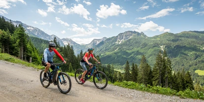 Mountainbikestrecken - Pongau - Wagrain-Kleinarl