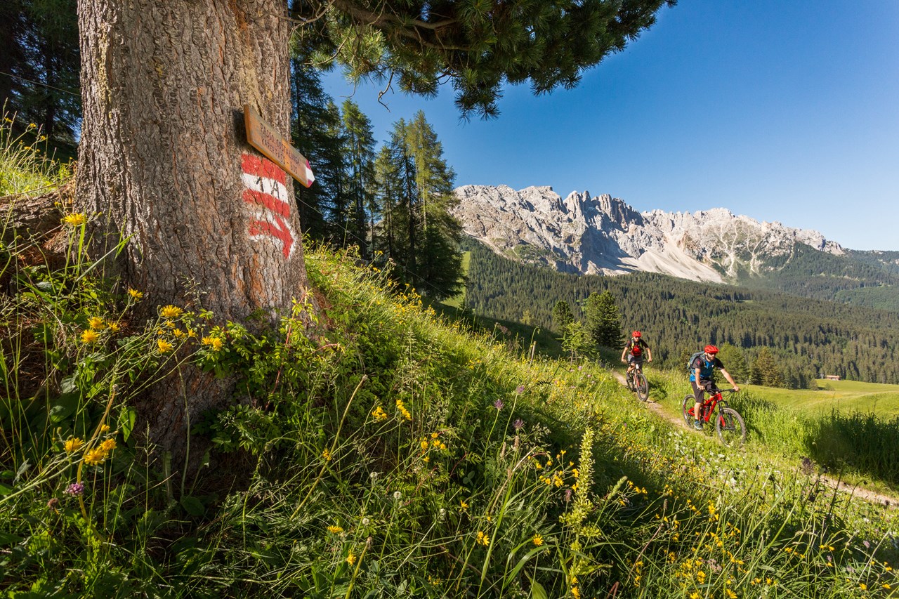Dolomiten - Eggental Touren Übersicht 354 Latemar Ronda
