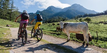 Mountainbikestrecken - Biketransport: öffentliche Verkehrsmittel - Österreich - Salzkammergut BergeSeen eTrail - Salzkammergut