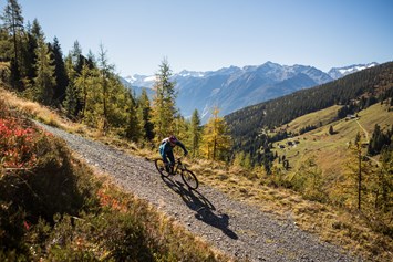 Mountainbike Region: Tolle Bike-Region - Wildkogel-Arena - Wildkogel-Arena Neukirchen & Bramberg
