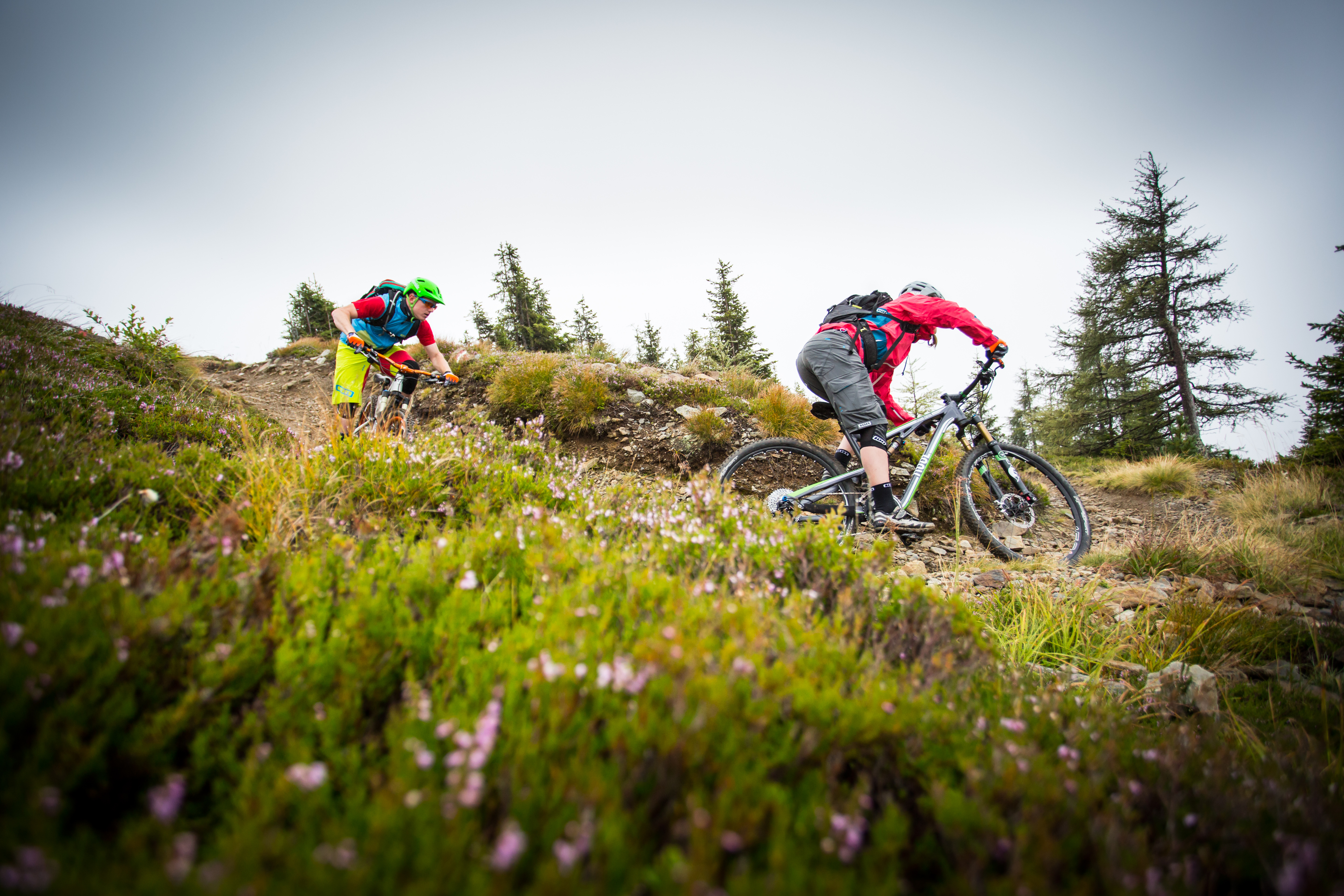 Wildkogel-Arena Neukirchen & Bramberg Touren Übersicht 4D - Baumgartenalm