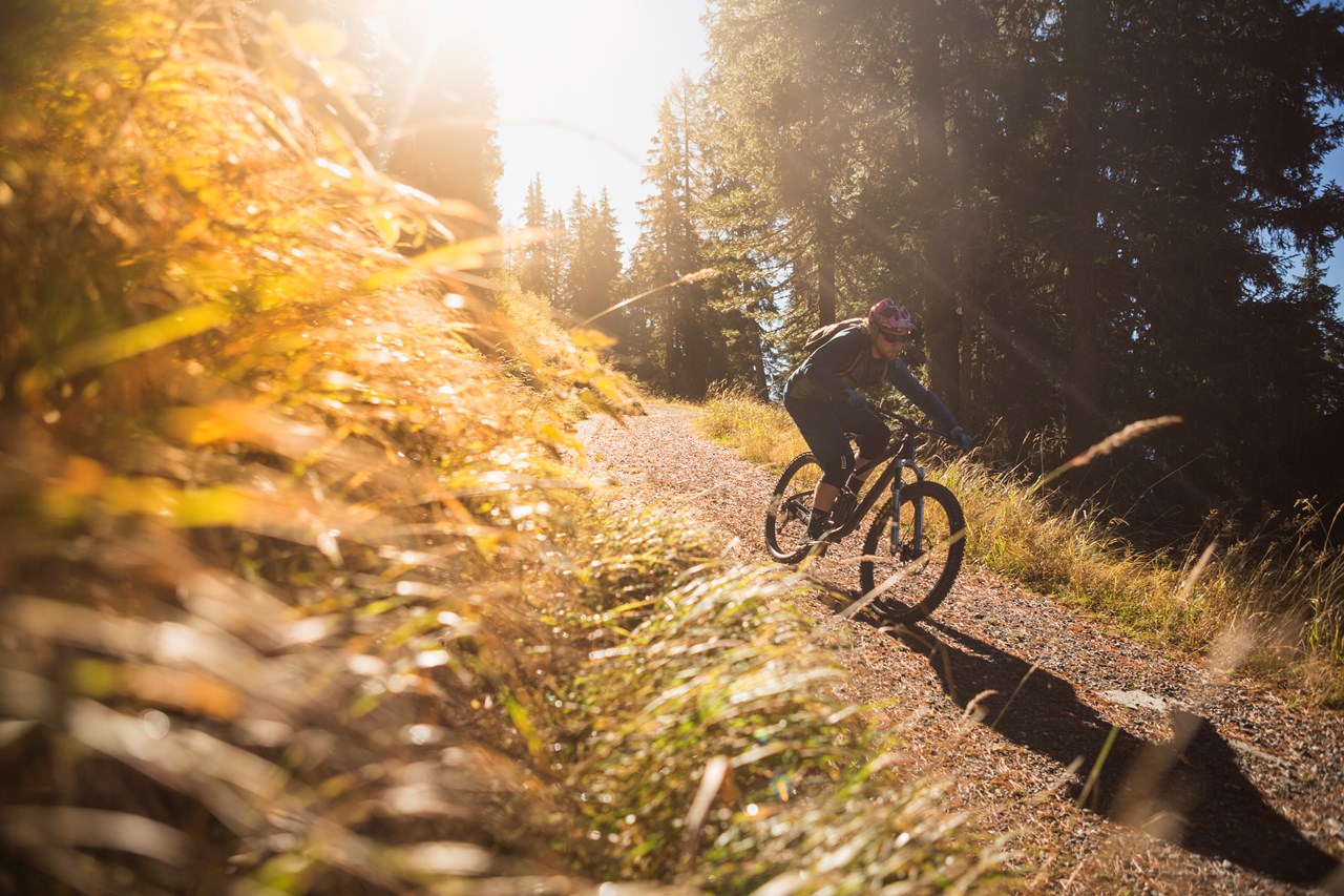 Wildkogel-Arena Neukirchen & Bramberg Touren Übersicht 4D - Baumgartenalm